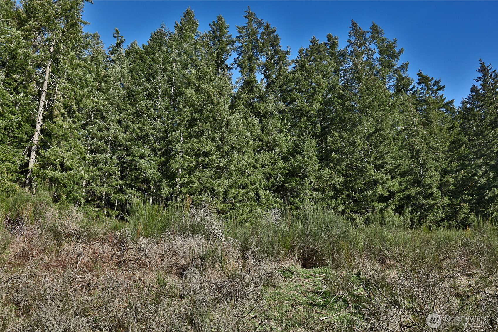 0 Sr 525 Road Langley WA 98260