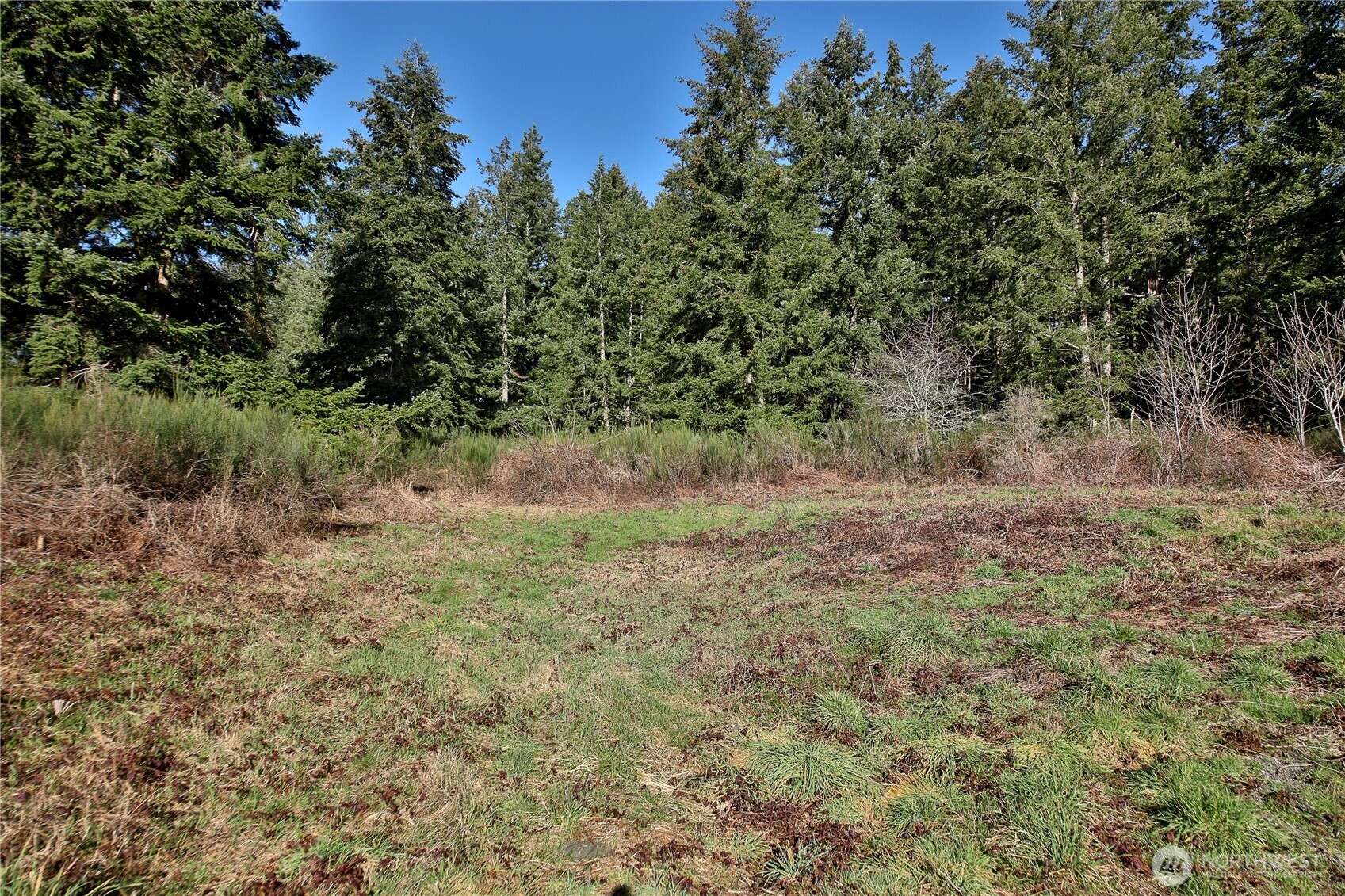 0 Sr 525 Road Langley WA 98260