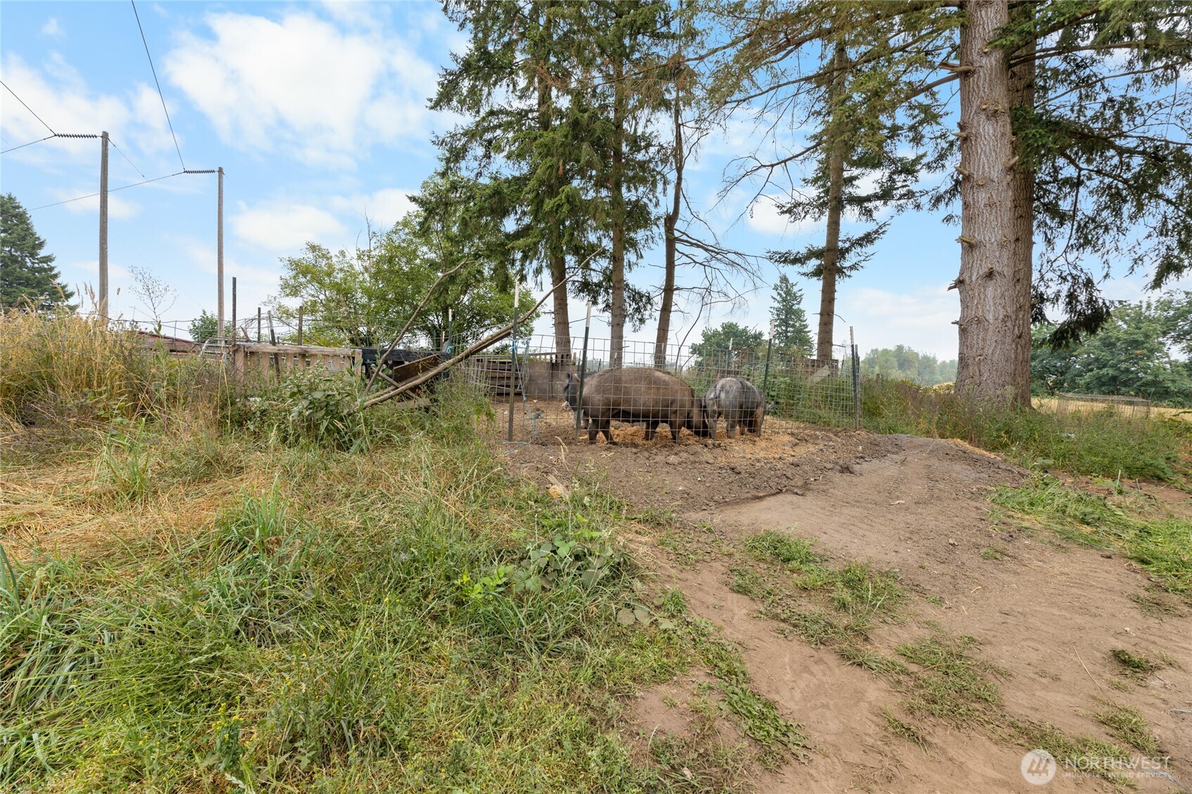 23831 384th Street SE Enumclaw WA 98022