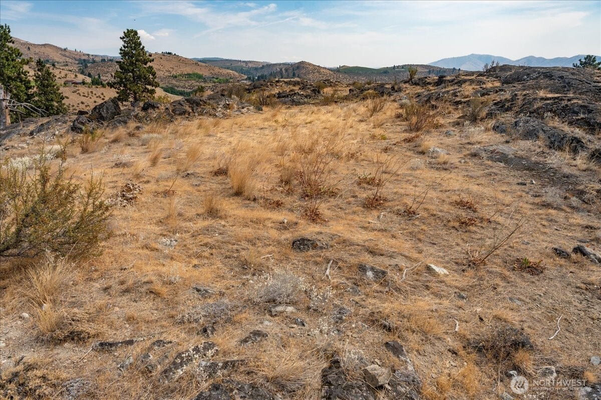 431 Glory View Lane Manson WA 98831