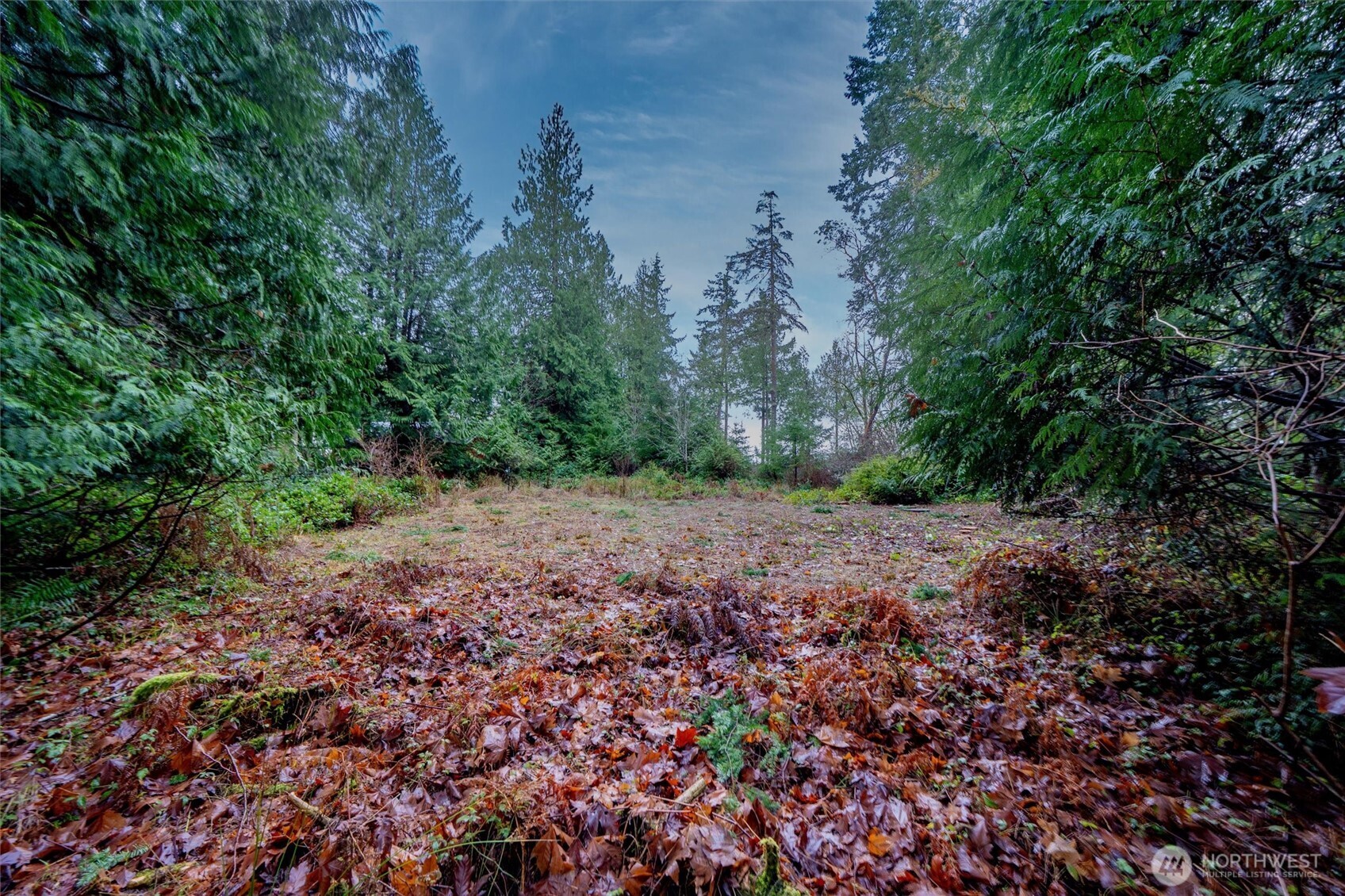 14018 96th Street Court Anderson Island WA 98303