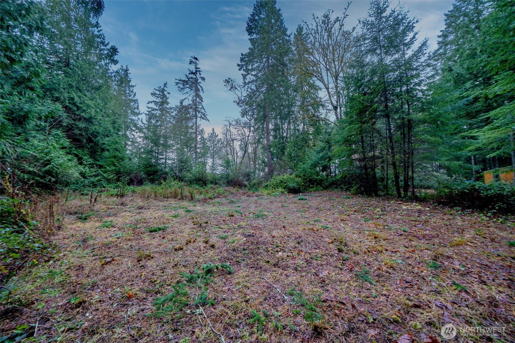 14018 96th Street Court Anderson Island WA 98303