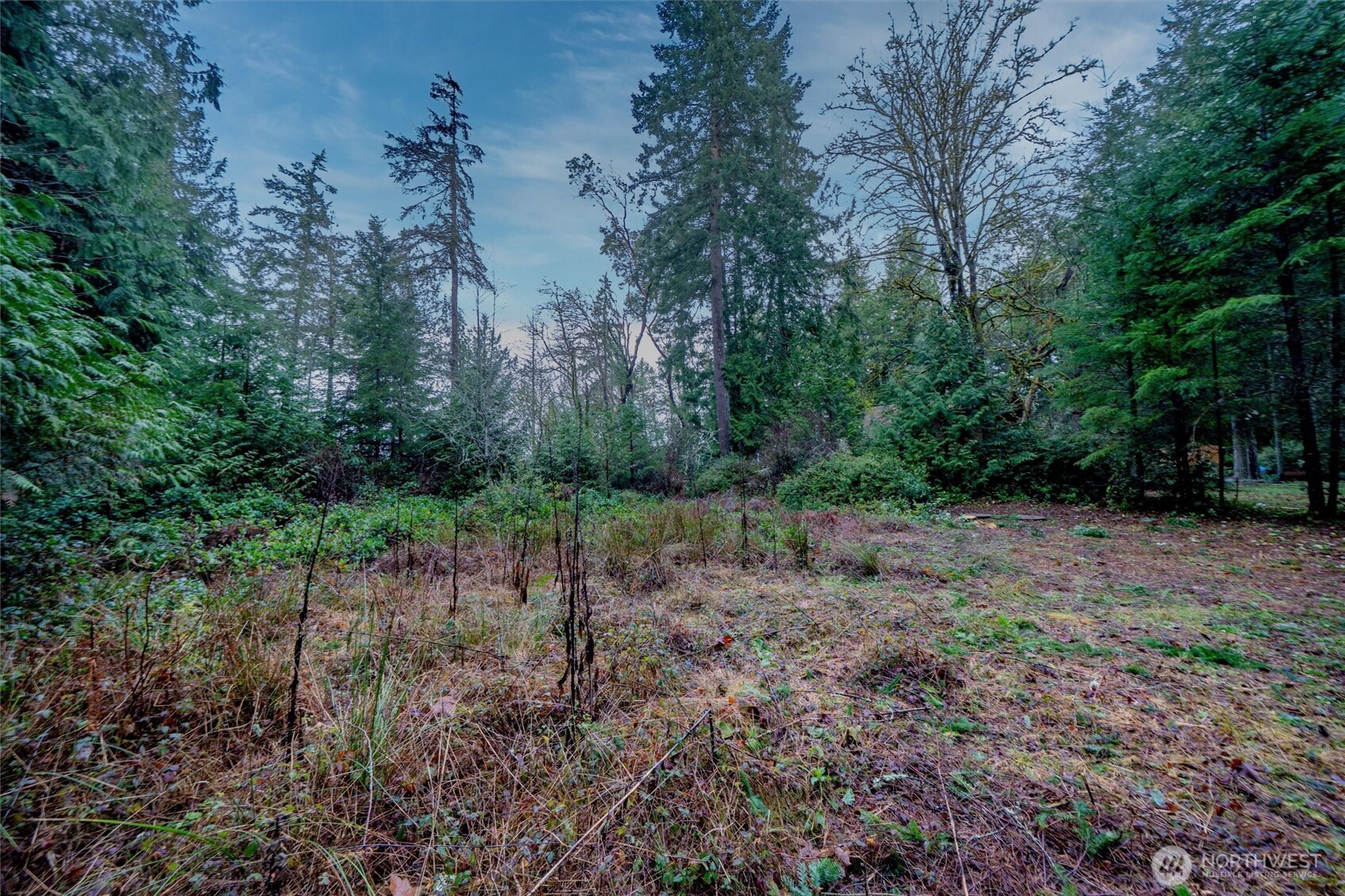 14018 96th Street Court Anderson Island WA 98303
