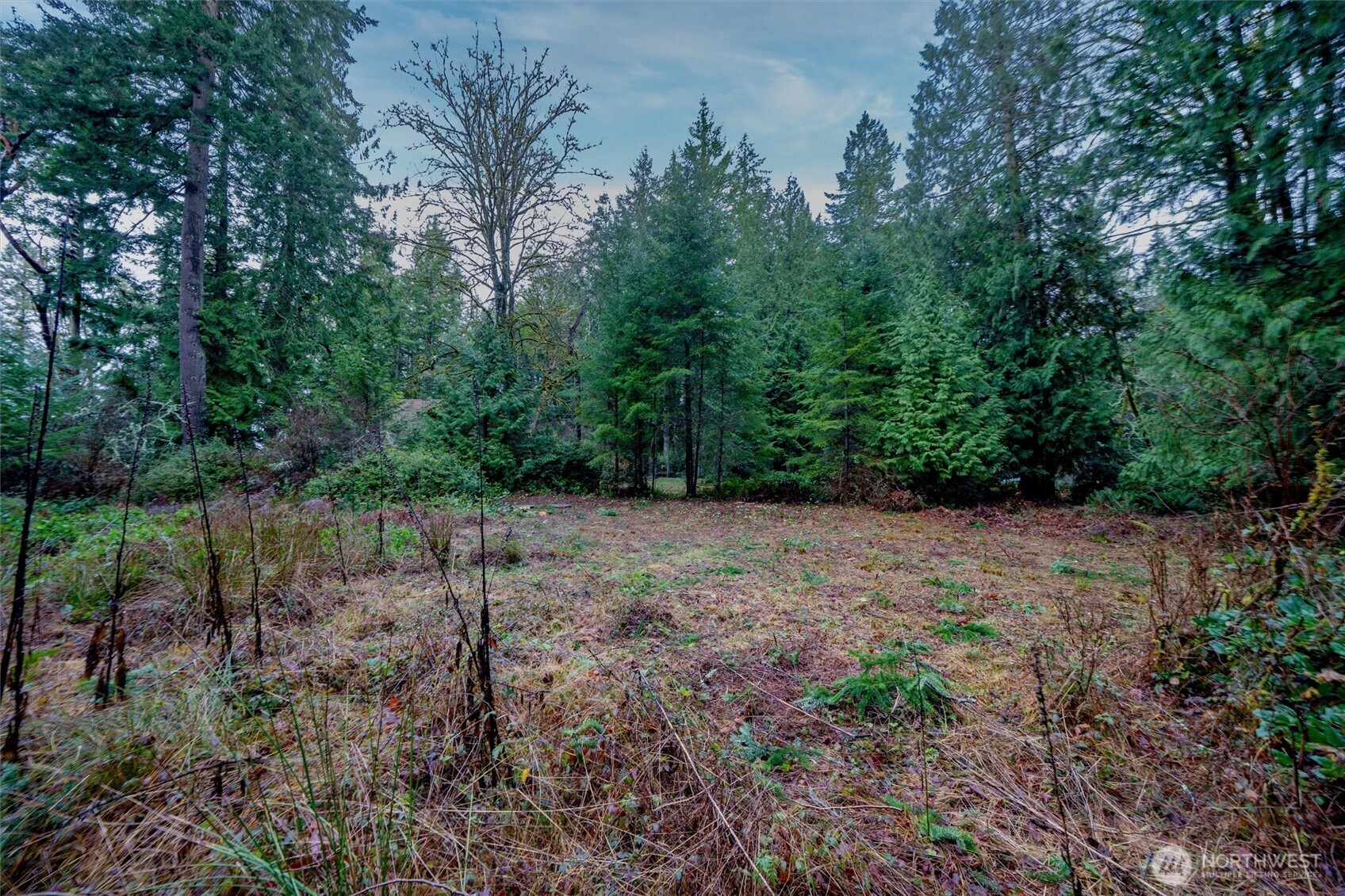 14018 96th Street Court Anderson Island WA 98303