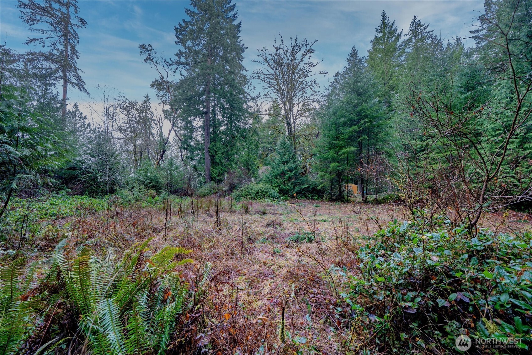 14018 96th Street Court Anderson Island WA 98303