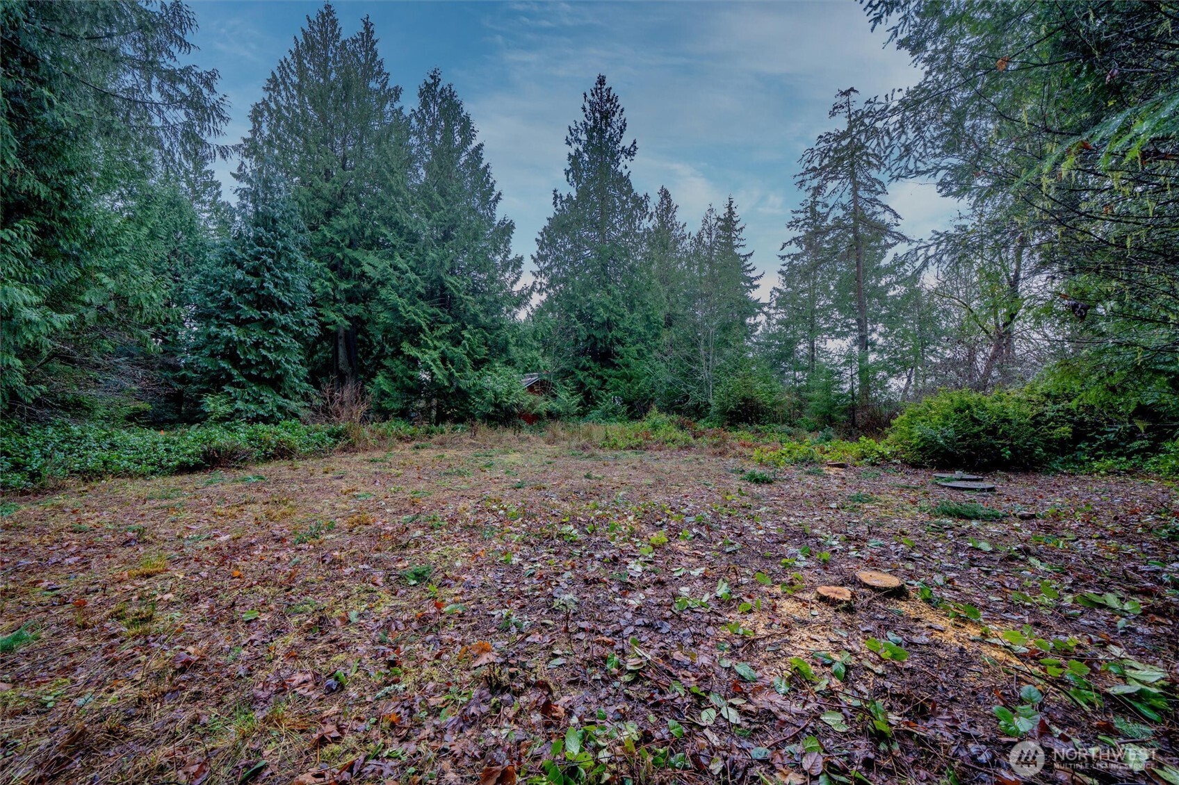 14018 96th Street Court Anderson Island WA 98303