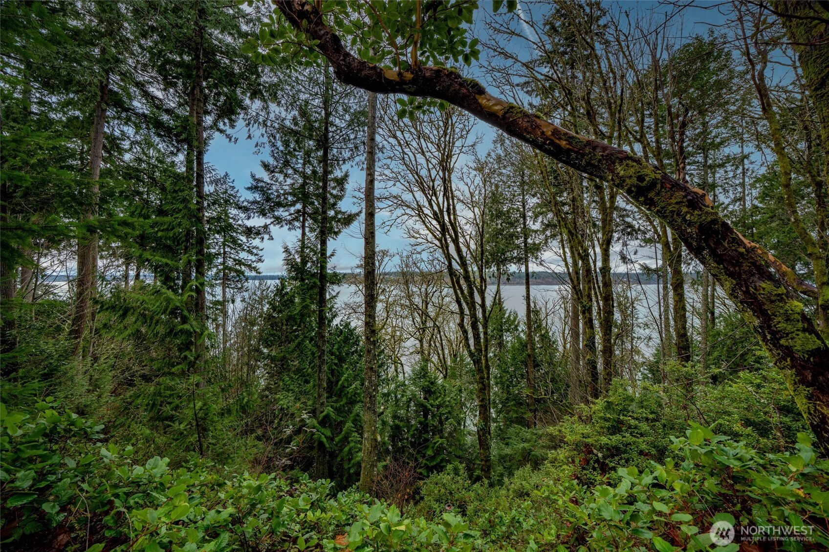 14018 96th Street Court Anderson Island WA 98303