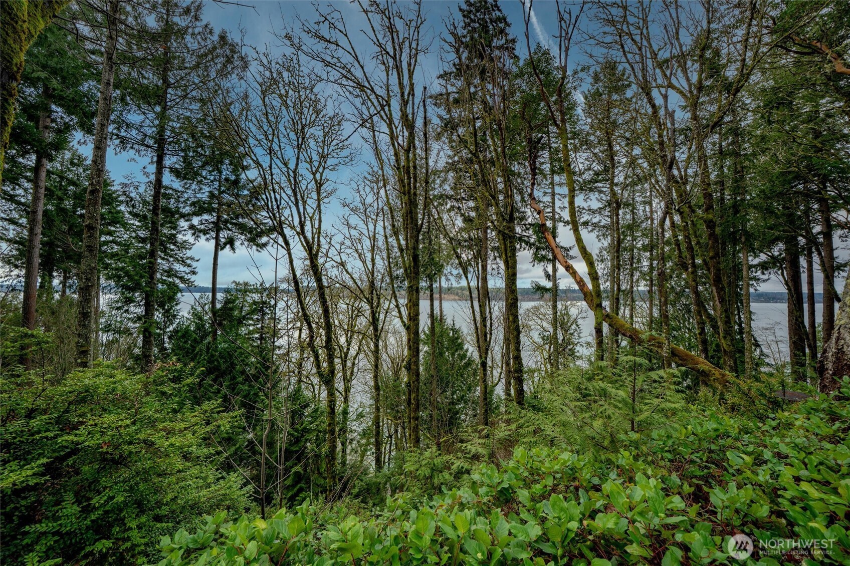 14018 96th Street Court Anderson Island WA 98303