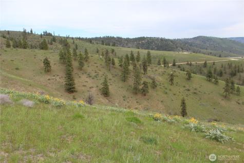 0 Xx Downhill Lane Chelan WA 98816