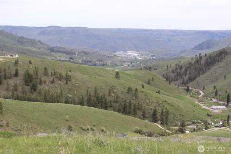 0 Xx Downhill Lane Chelan WA 98816