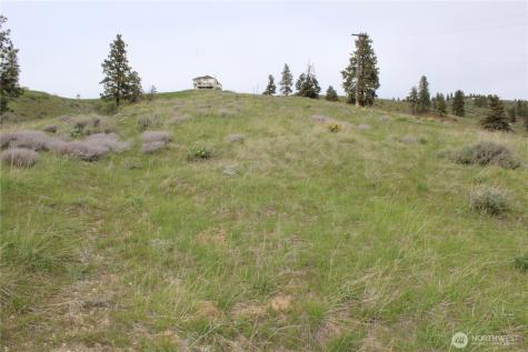 0 Xx Downhill Lane Chelan WA 98816