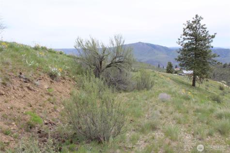 0 Xx Downhill Lane Chelan WA 98816