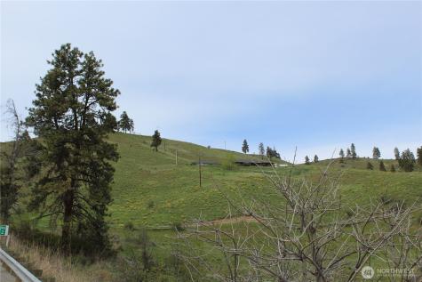0 Xx Downhill Lane Chelan WA 98816