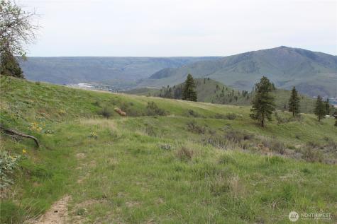 0 Xx Downhill Lane Chelan WA 98816