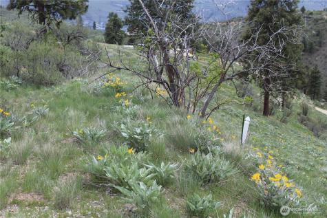 0 Xx Downhill Lane Chelan WA 98816