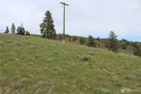 0 Xx Downhill Lane Chelan WA 98816