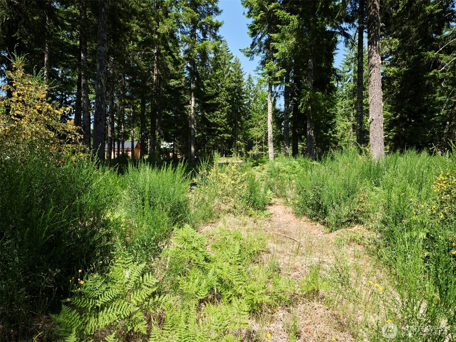 3 Phyllis Ann Block Court Cougar WA 98616