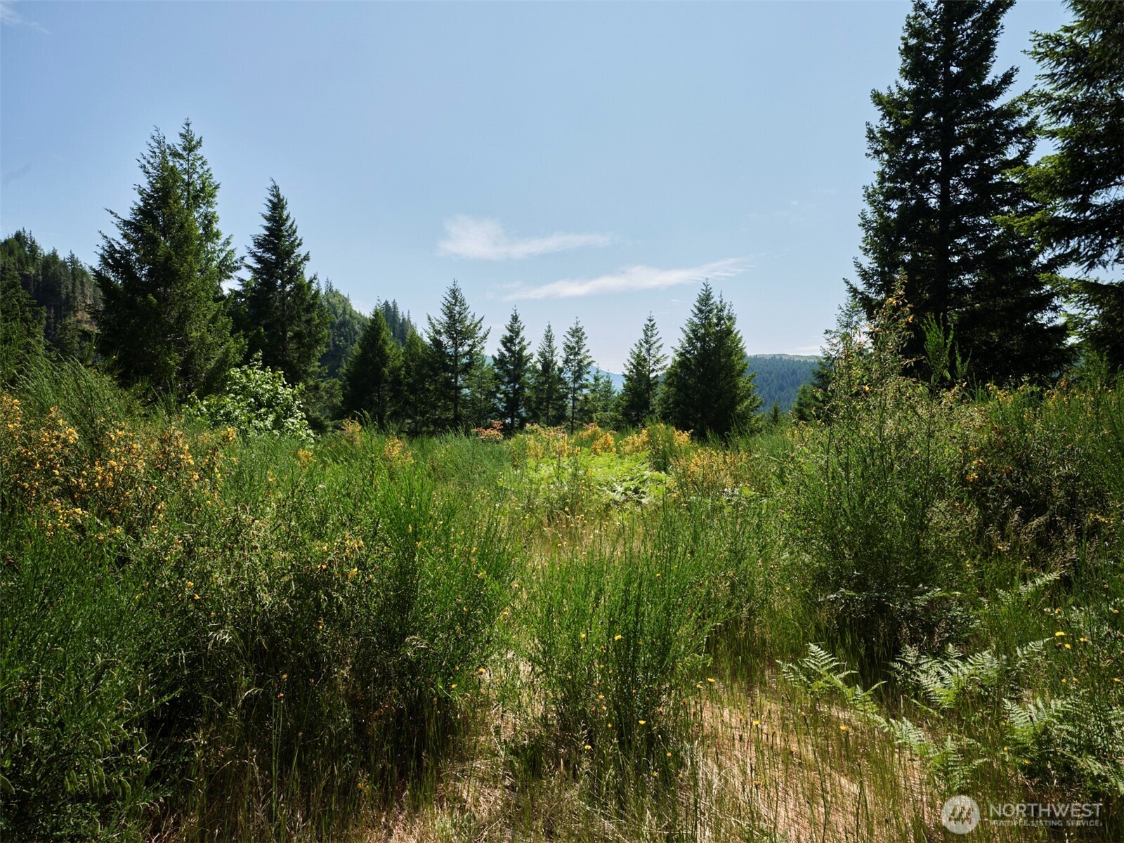 3 Phyllis Ann Block Court Cougar WA 98616