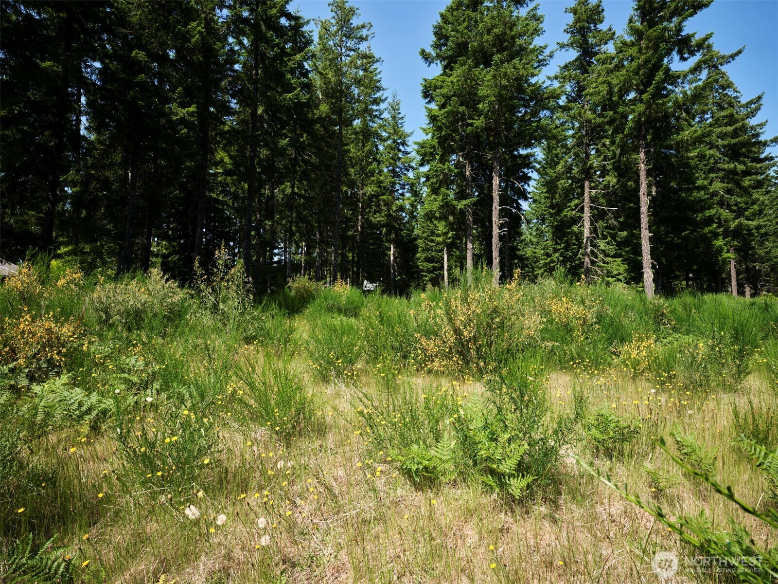 3 Phyllis Ann Block Court Cougar WA 98616