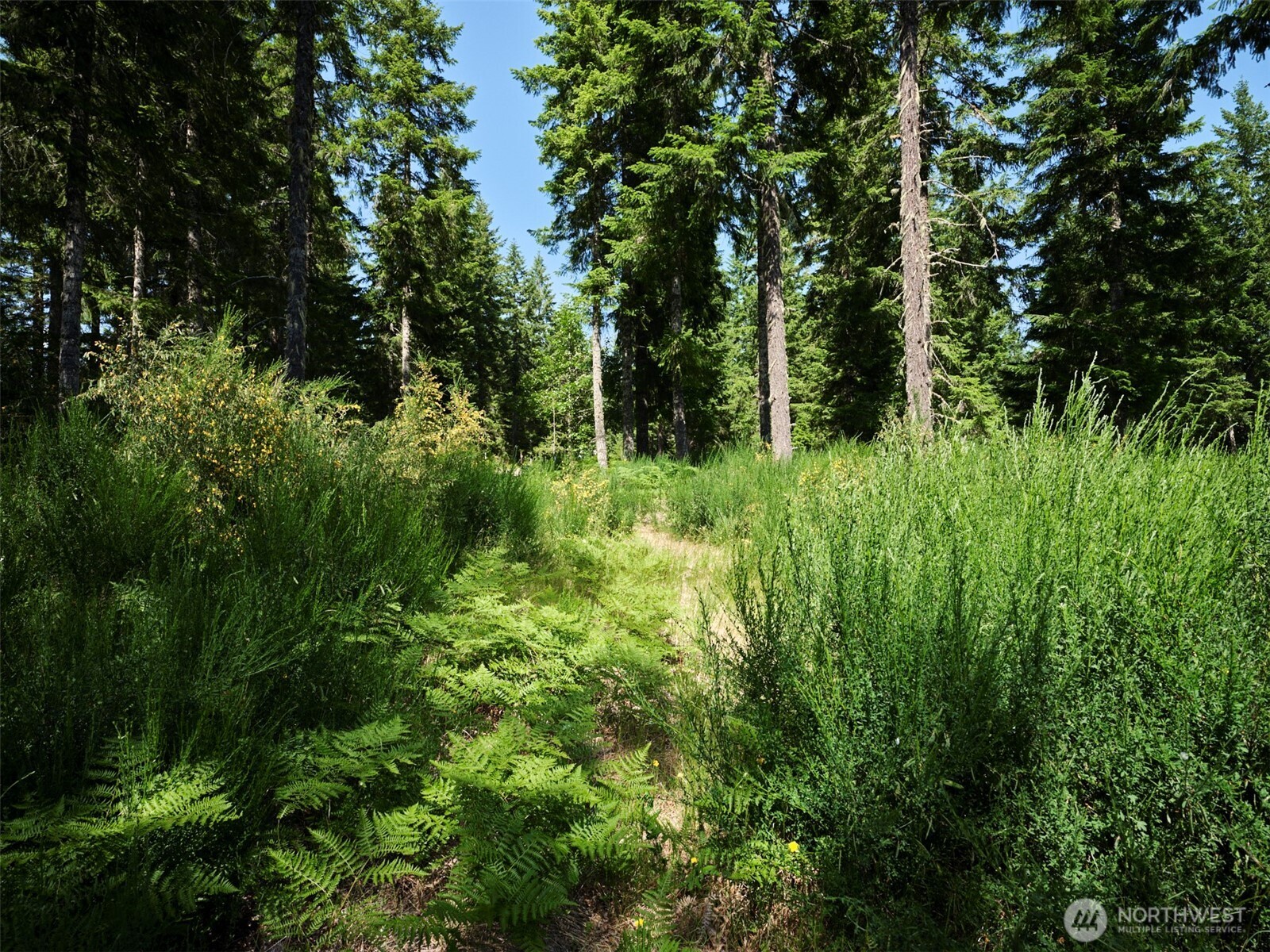 3 Phyllis Ann Block Court Cougar WA 98616