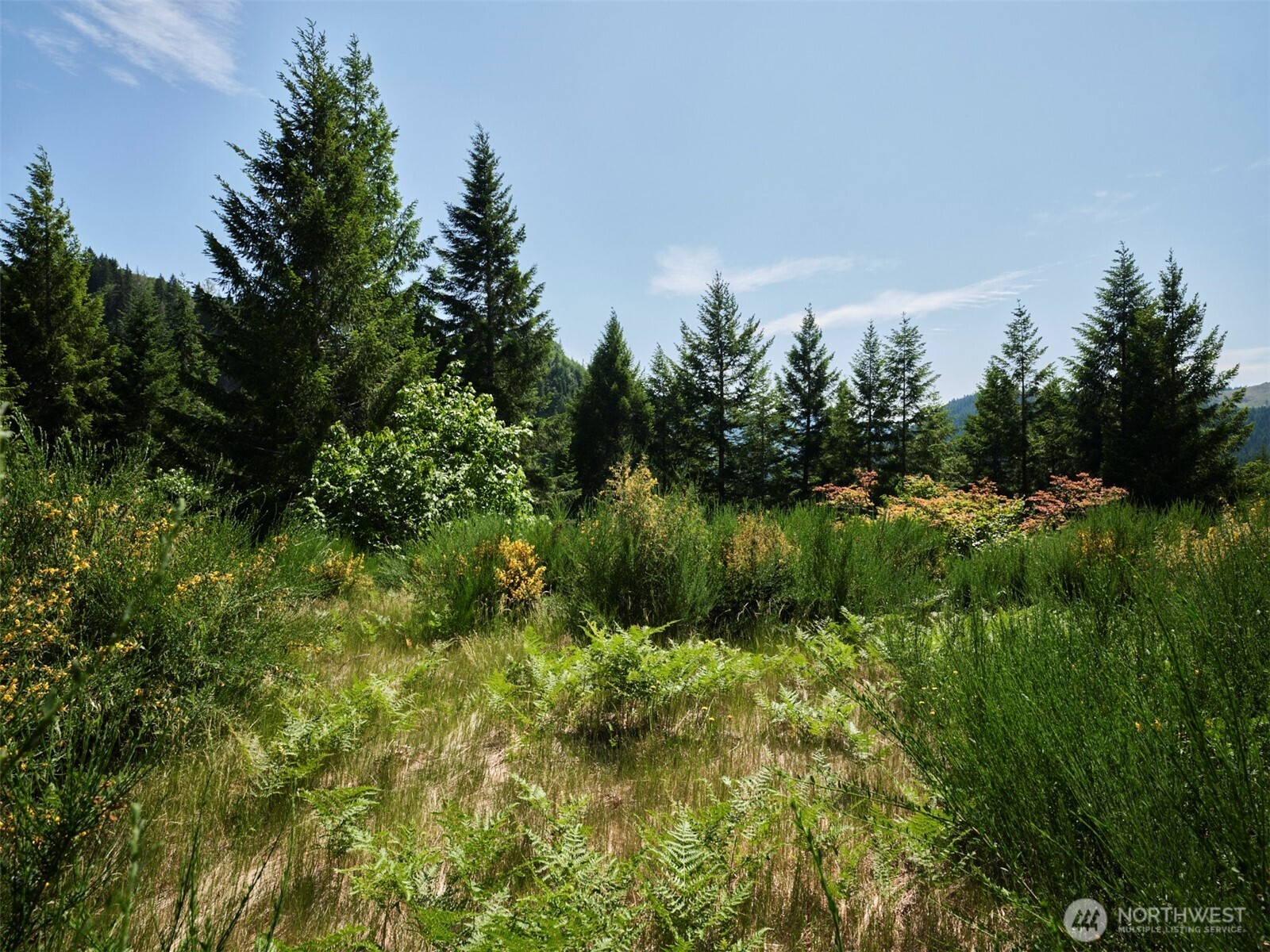 3 Phyllis Ann Block Court Cougar WA 98616