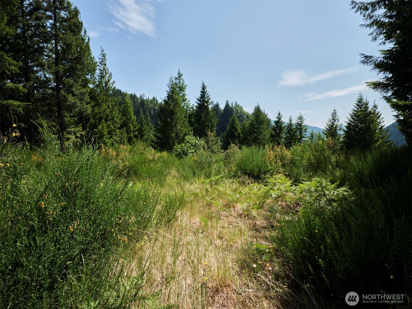 3 Phyllis Ann Block Court Cougar WA 98616