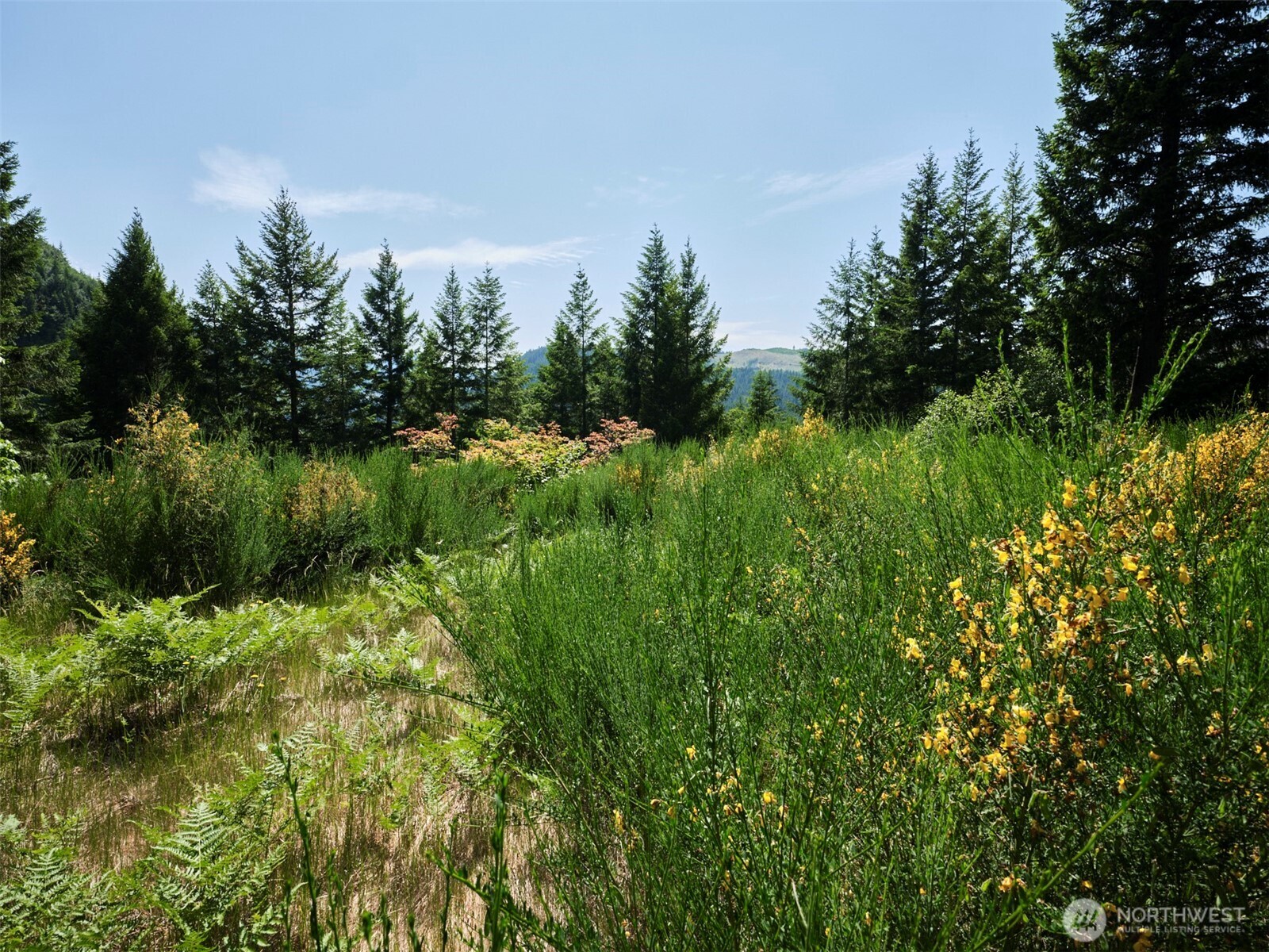 3 Phyllis Ann Block Court Cougar WA 98616