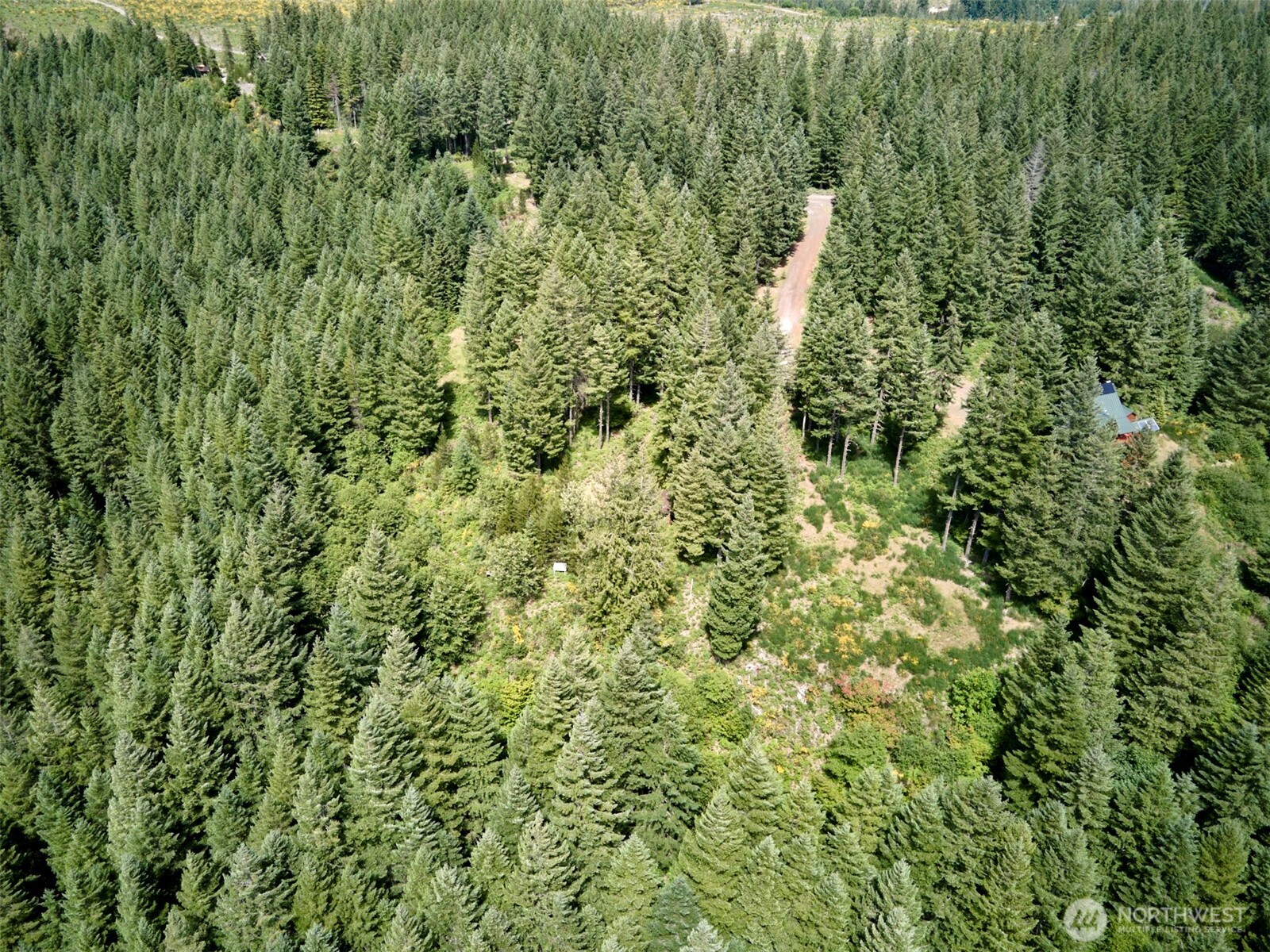 3 Phyllis Ann Block Court Cougar WA 98616
