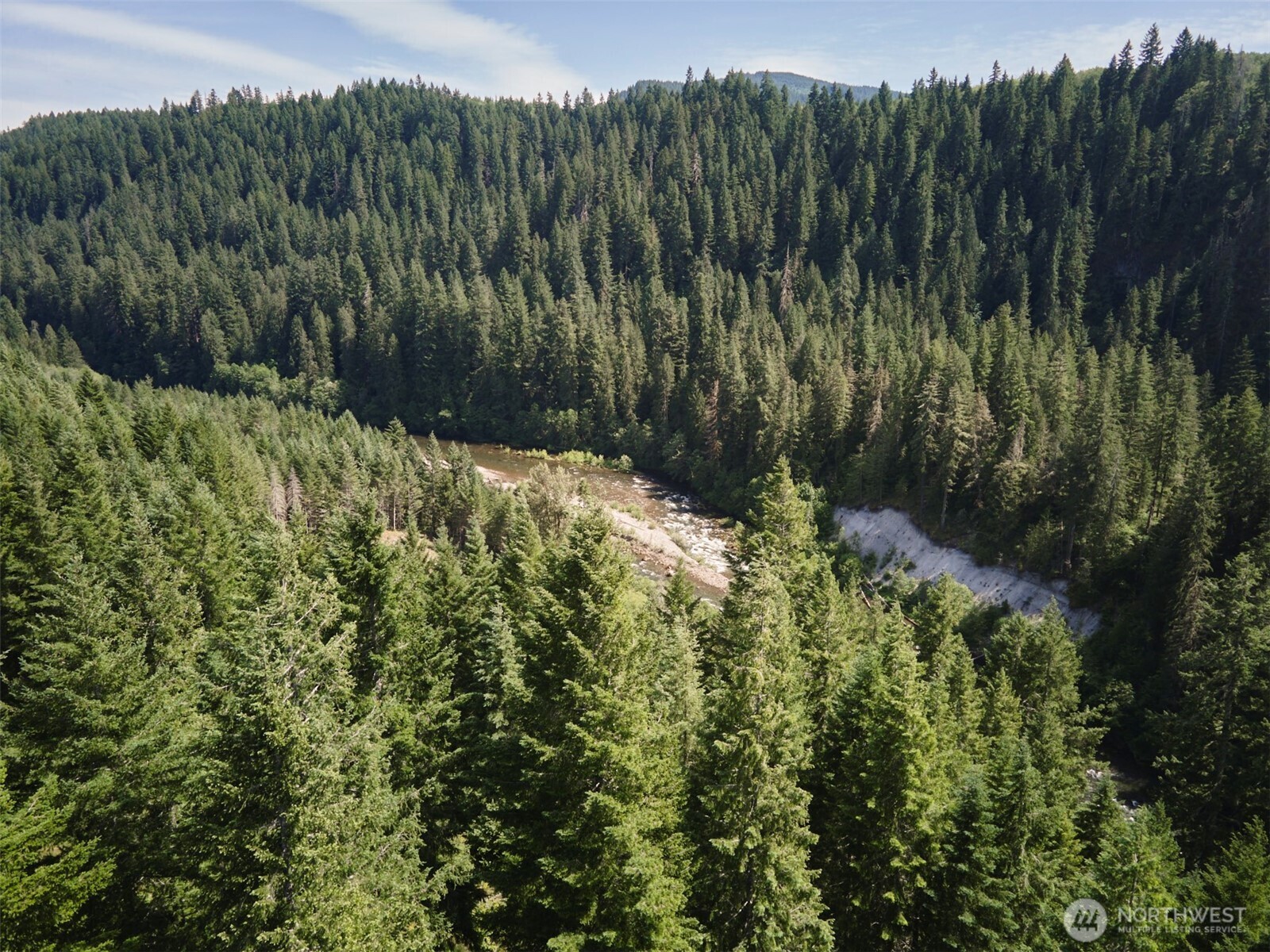 3 Phyllis Ann Block Court Cougar WA 98616