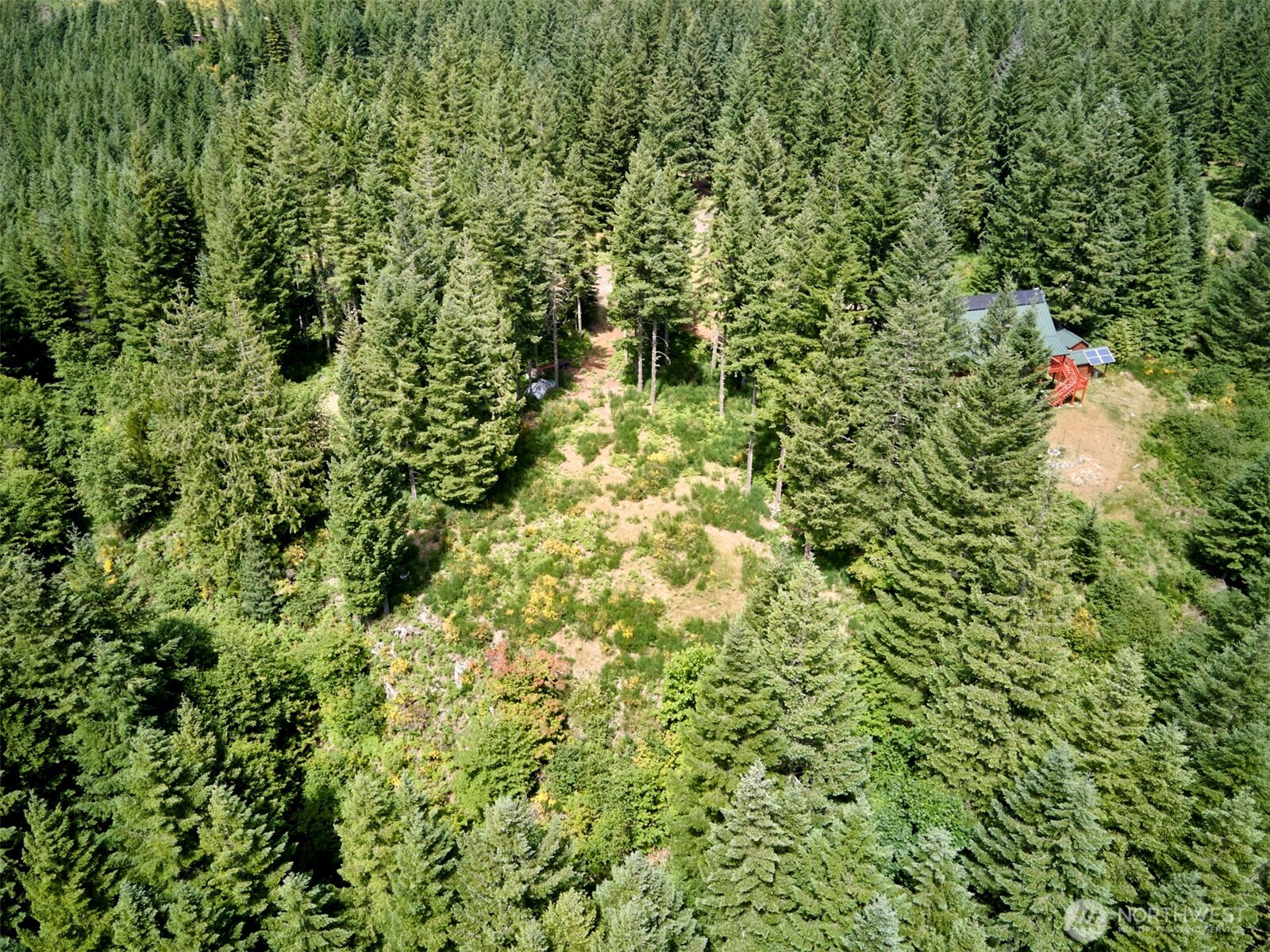3 Phyllis Ann Block Court Cougar WA 98616