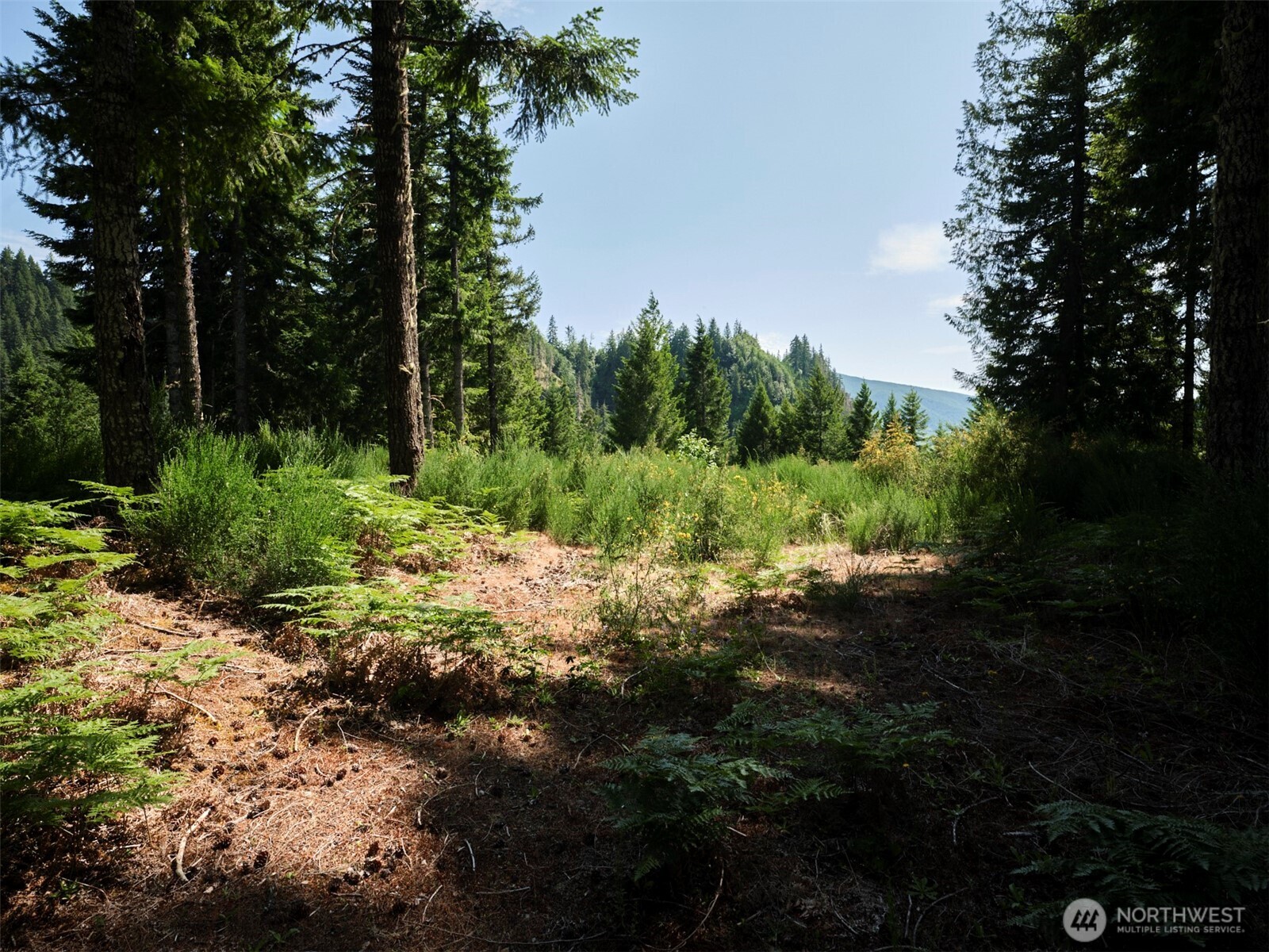 3 Phyllis Ann Block Court Cougar WA 98616