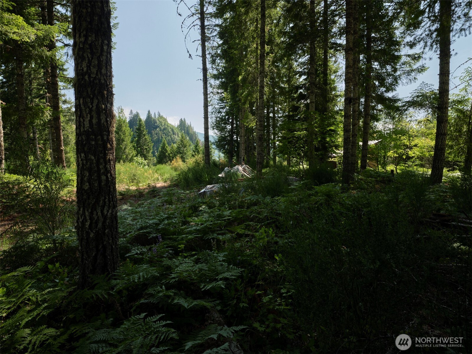 3 Phyllis Ann Block Court Cougar WA 98616