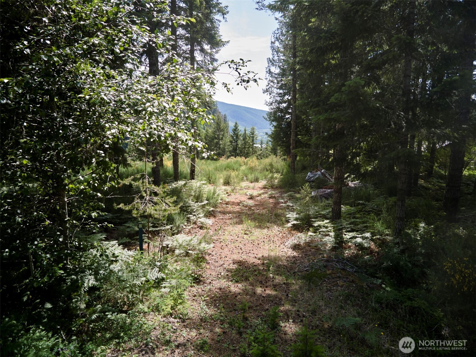 3 Phyllis Ann Block Court Cougar WA 98616
