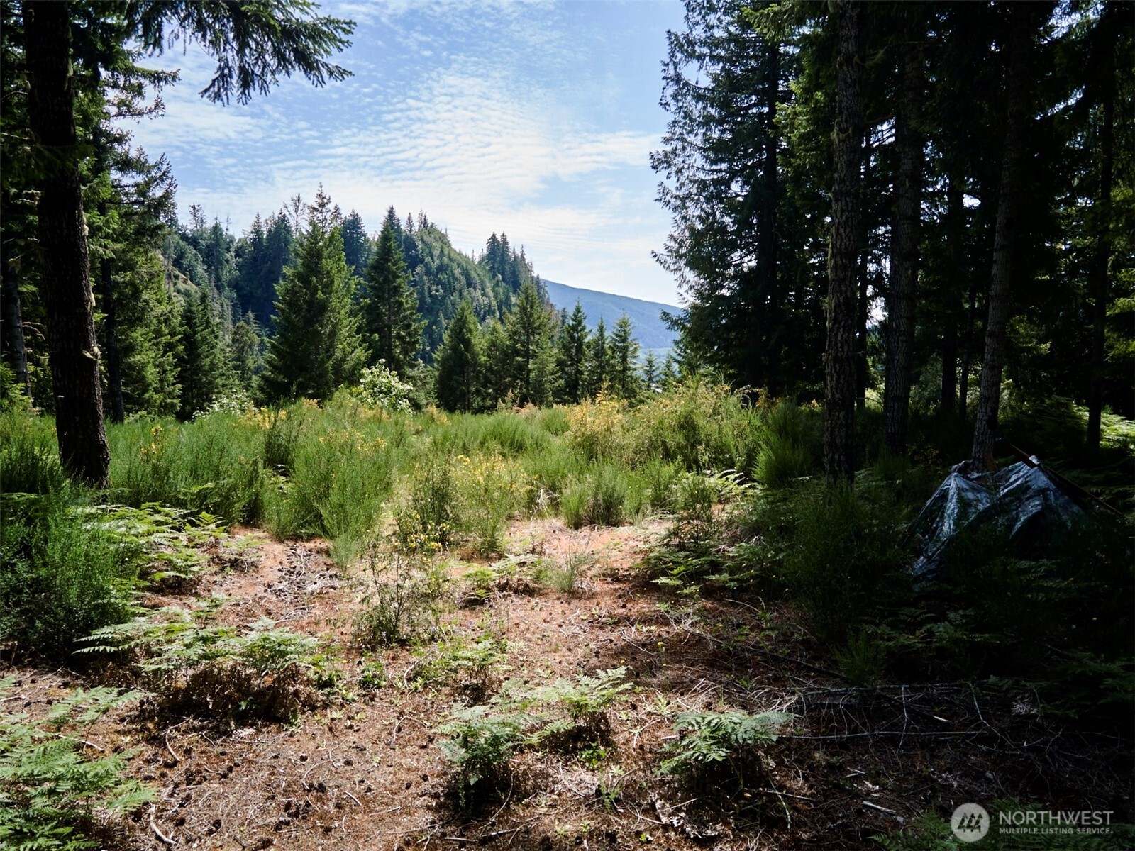 3 Phyllis Ann Block Court Cougar WA 98616
