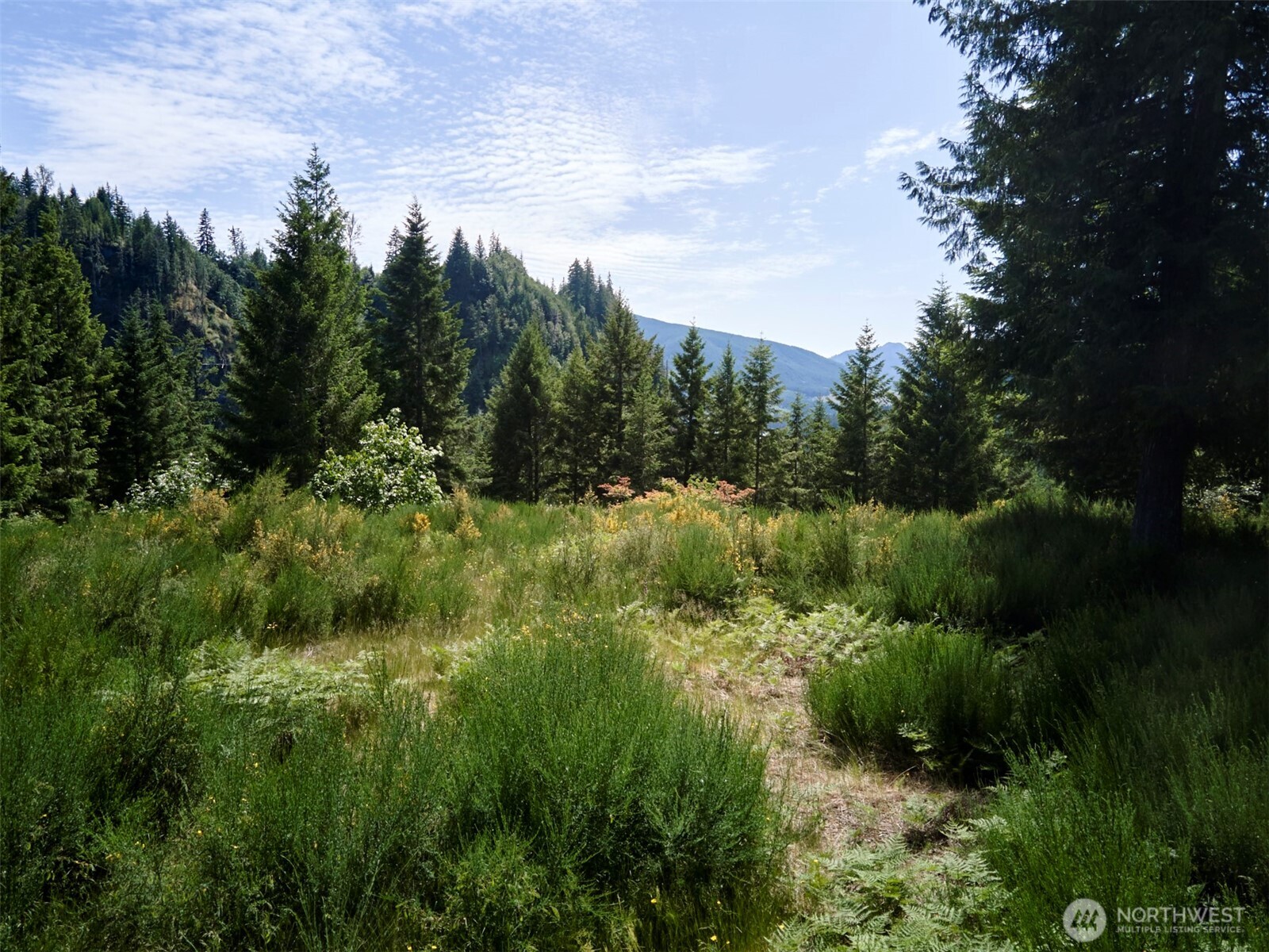 3 Phyllis Ann Block Court Cougar WA 98616