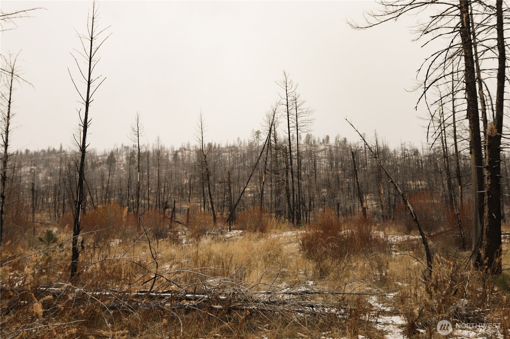 0 Red Feather Lot 16 Tonasket WA 98849