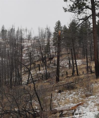 0 Red Feather Lot 16 Tonasket WA 98849