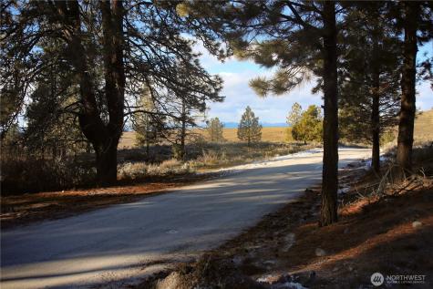 0 Red Feather Lot 16 Tonasket WA 98849