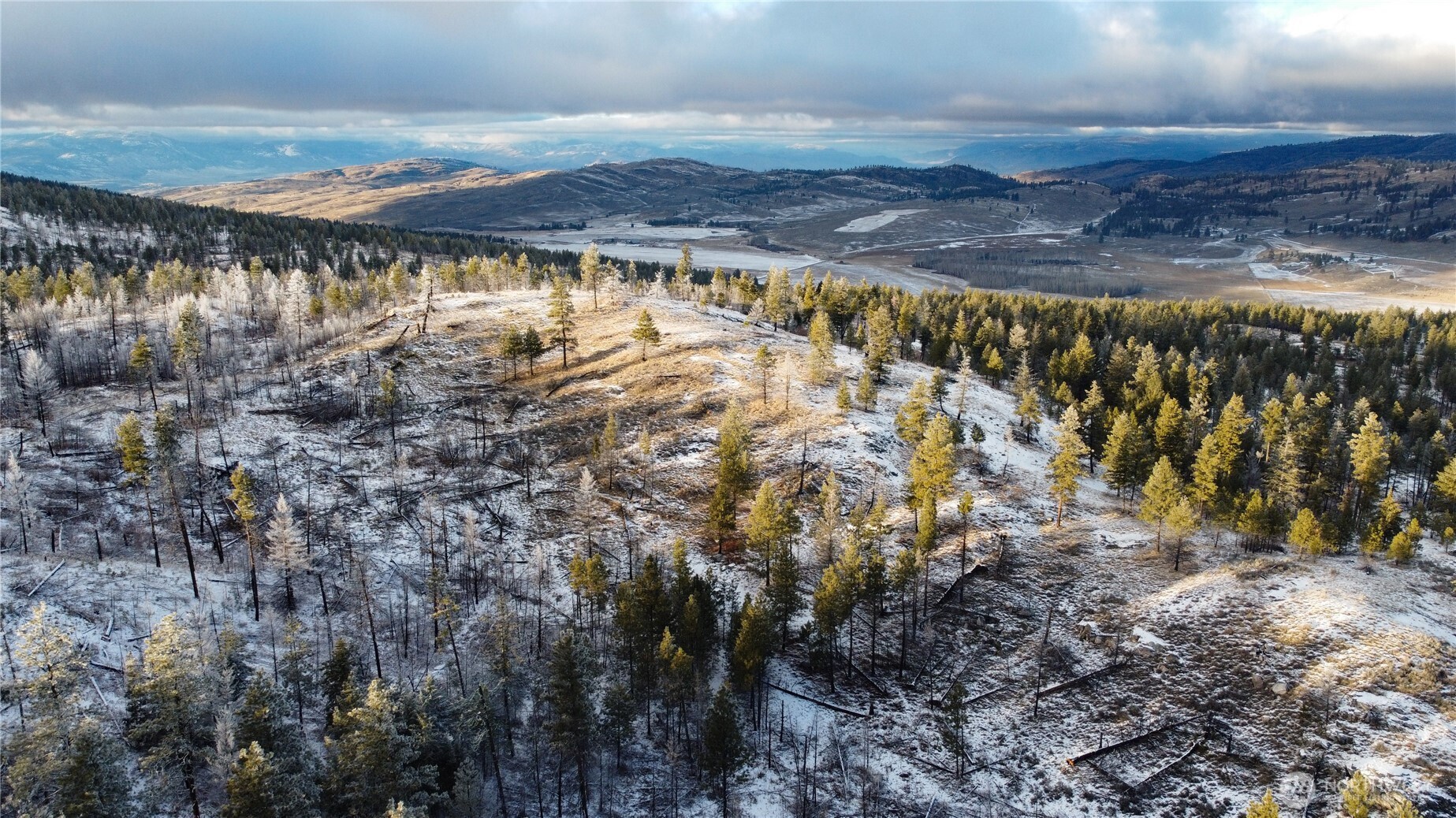 0 Red Feather Lot 16 Tonasket WA 98849