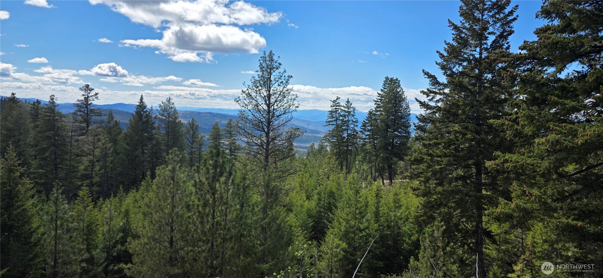 1112 Tbd Bandtman Creek Road Tonasket WA 98855