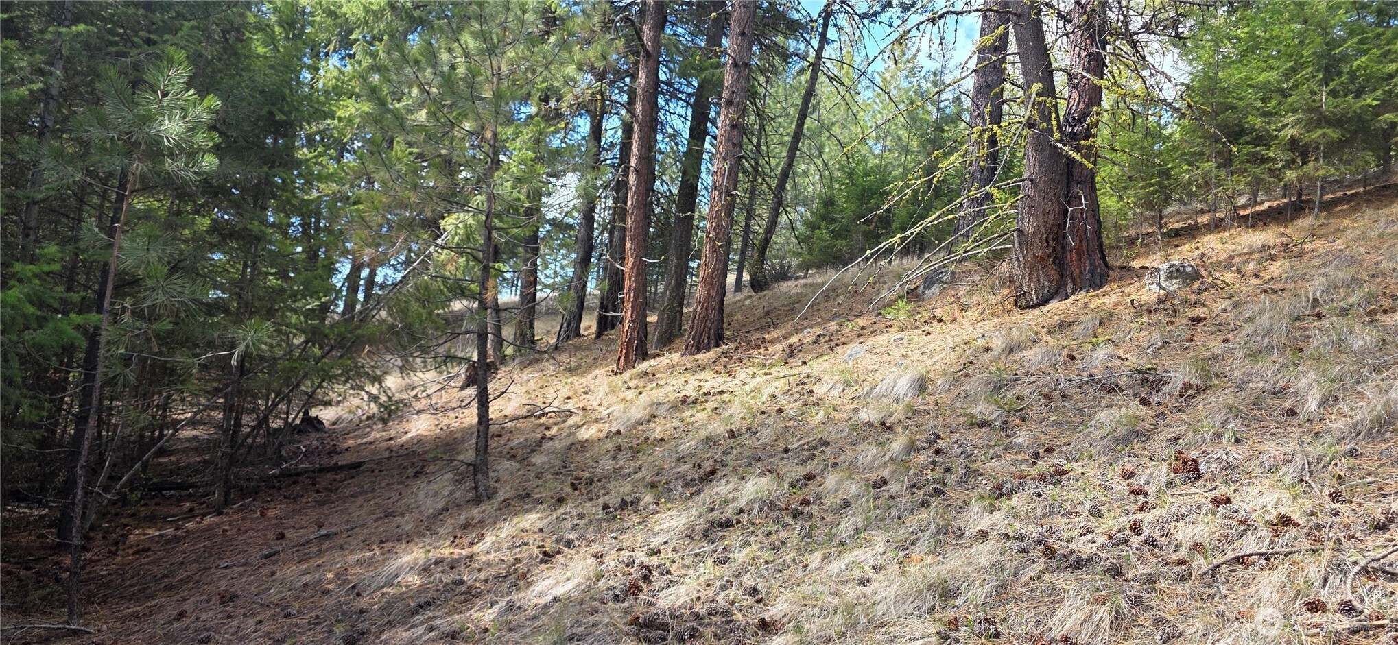 1112 Tbd Bandtman Creek Road Tonasket WA 98855