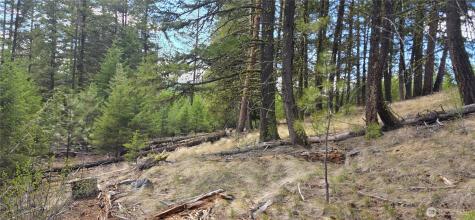 1112 Tbd Bandtman Creek Road Tonasket WA 98855