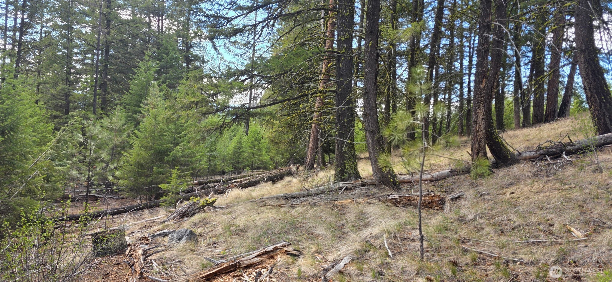 1112 Tbd Bandtman Creek Road Tonasket WA 98855