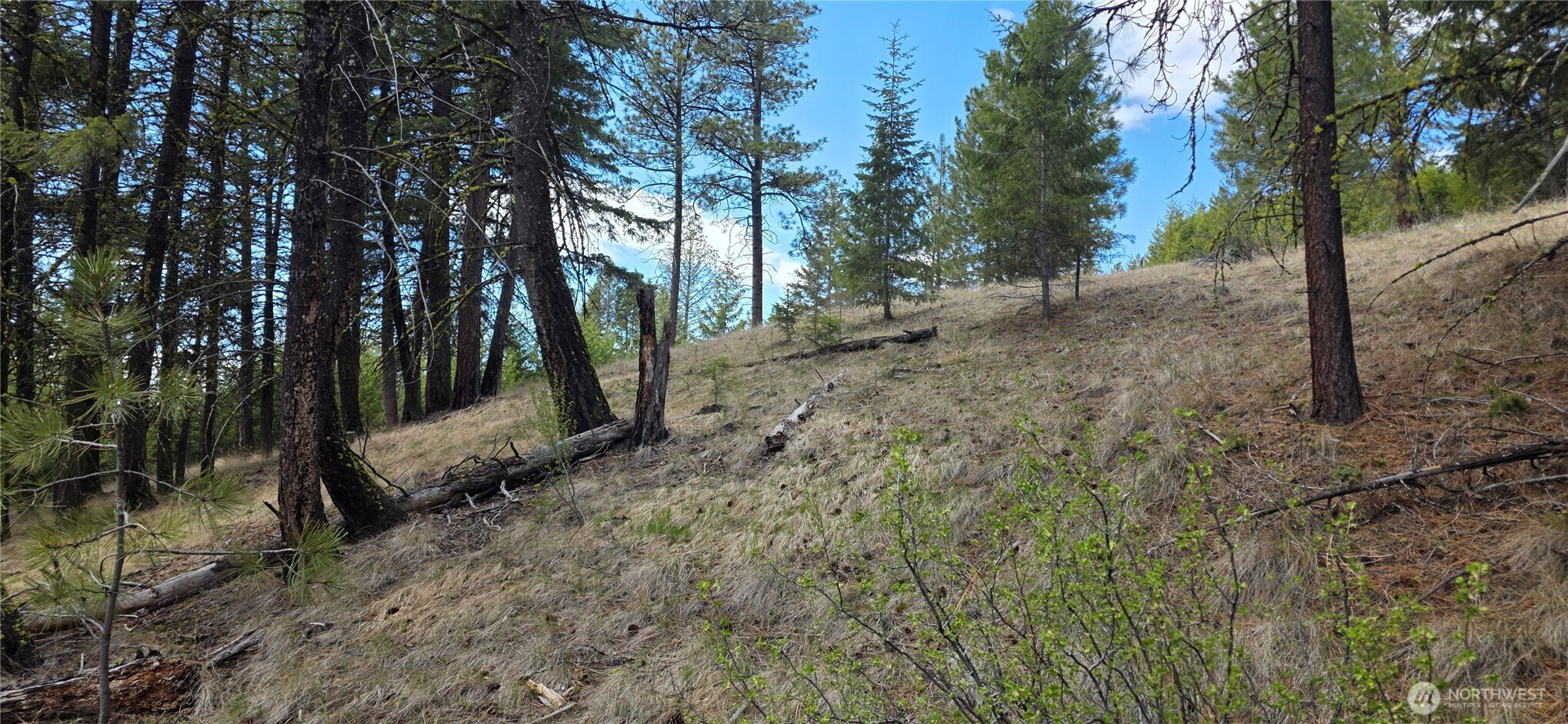 1112 Tbd Bandtman Creek Road Tonasket WA 98855