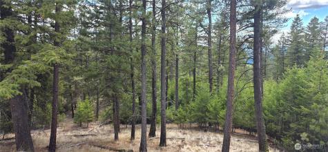 1112 Tbd Bandtman Creek Road Tonasket WA 98855