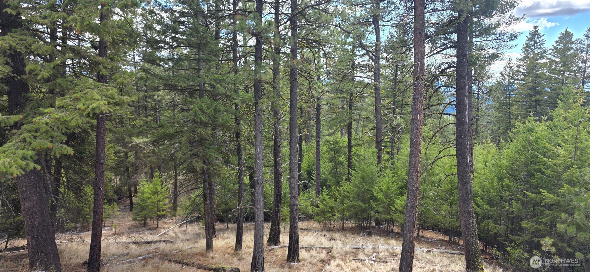1112 Tbd Bandtman Creek Road Tonasket WA 98855