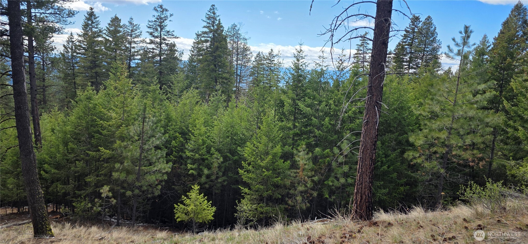 1112 Tbd Bandtman Creek Road Tonasket WA 98855