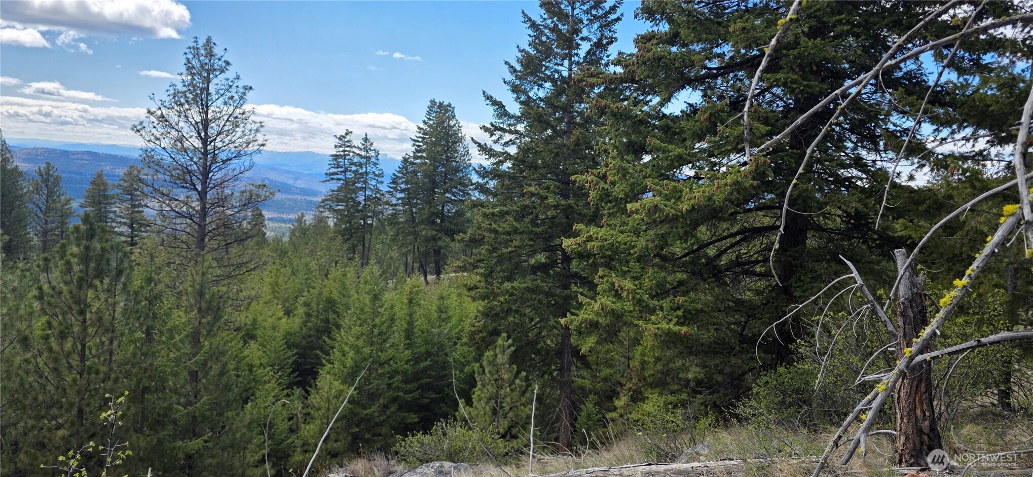 1112 Tbd Bandtman Creek Road Tonasket WA 98855