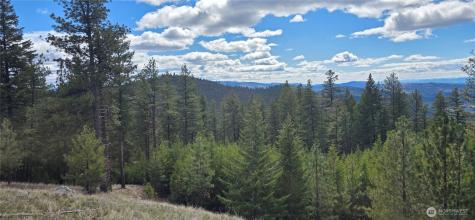 1112 Tbd Bandtman Creek Road Tonasket WA 98855