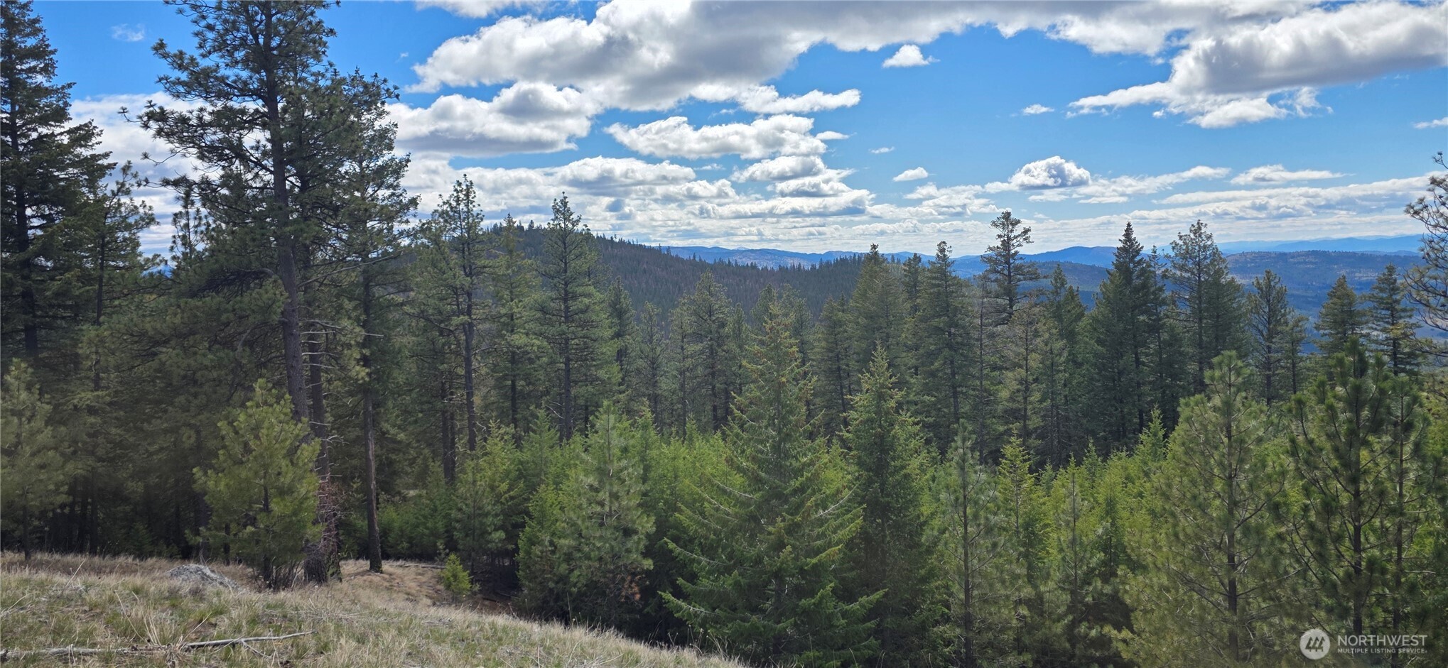 1112 Tbd Bandtman Creek Road Tonasket WA 98855